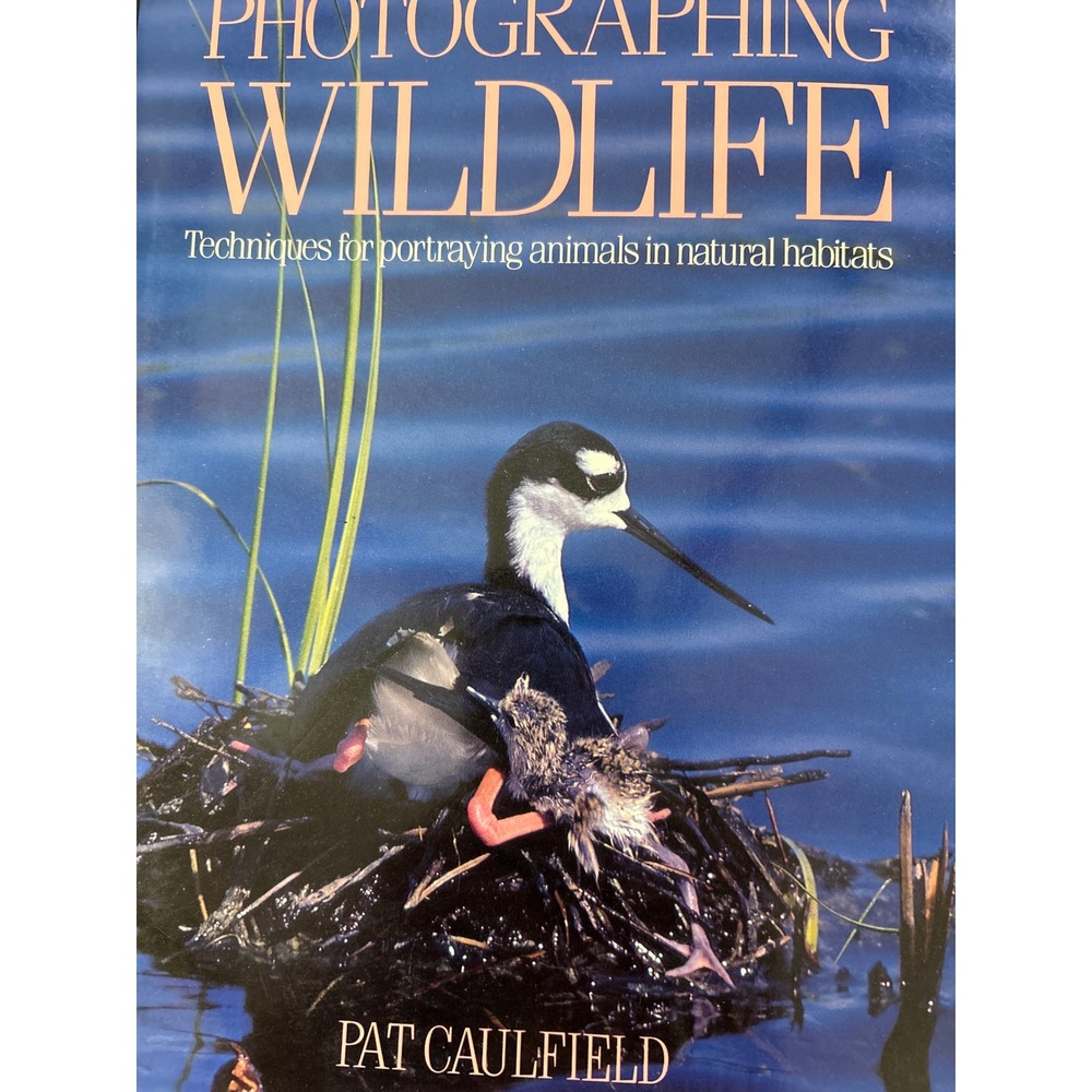 Photographing Wildlife P.Caulfield Amphoto Nature Photography ISBN 0-8174-5442-X